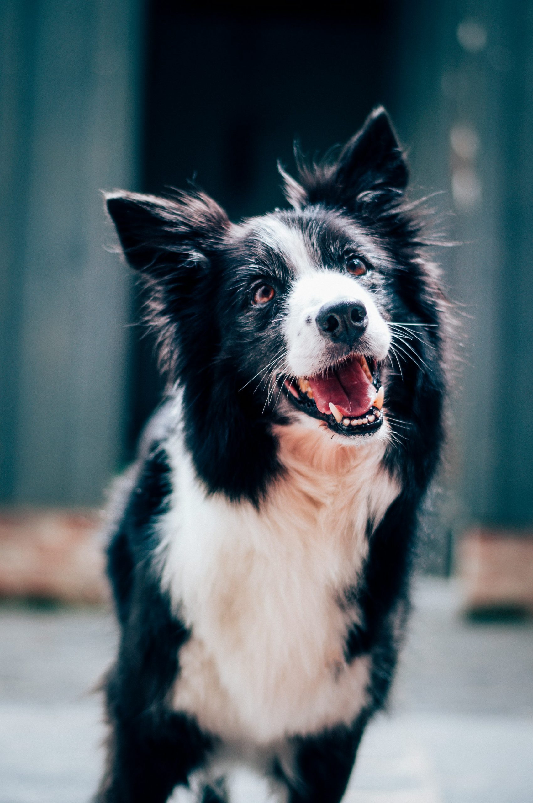 baptist standaert mx0denfyxic unsplash